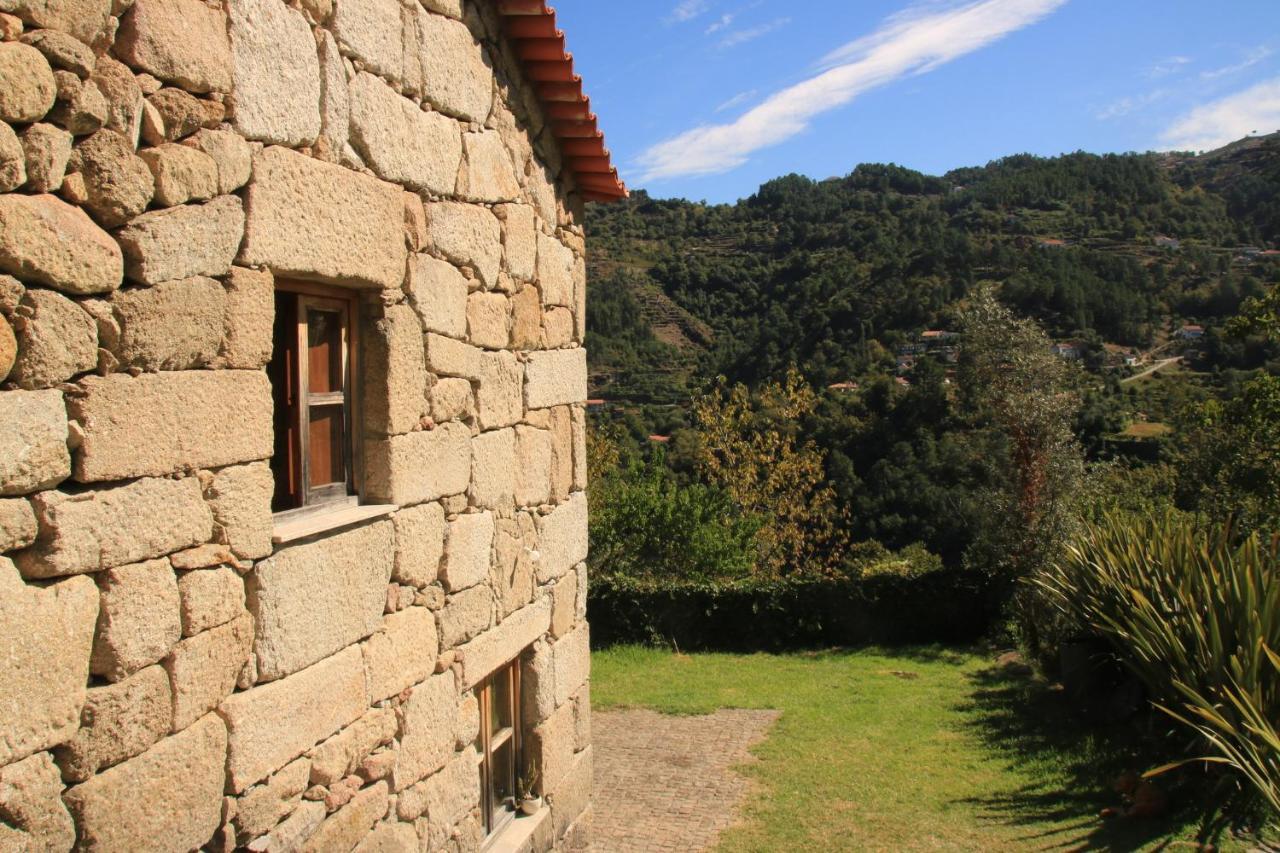Douro Senses - Nature House Cinfães Dış mekan fotoğraf