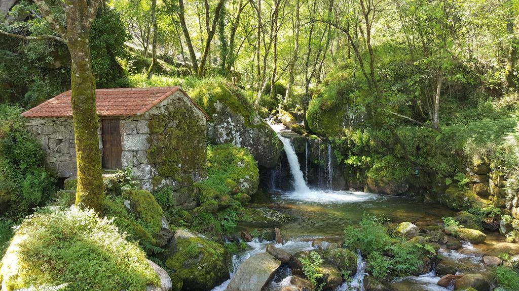 Douro Senses - Nature House Cinfães Dış mekan fotoğraf
