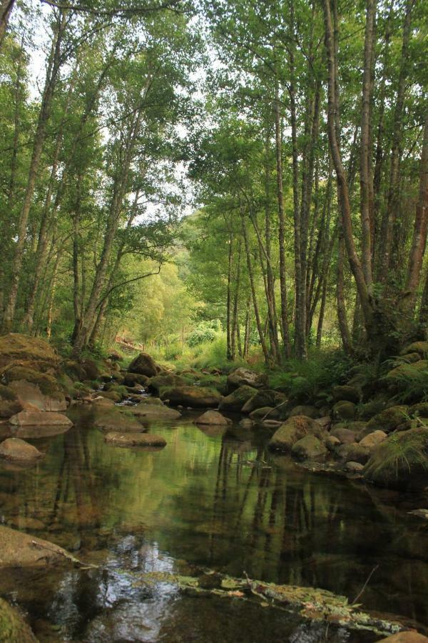 Douro Senses - Nature House Cinfães Dış mekan fotoğraf